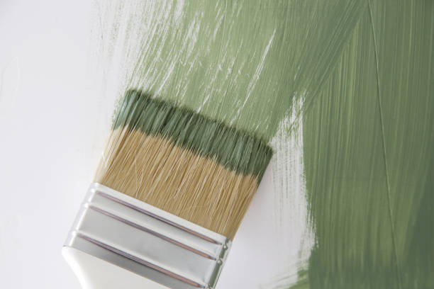 Best Environmental Consulting for Mold Prevention  in Crystal Lake, IL