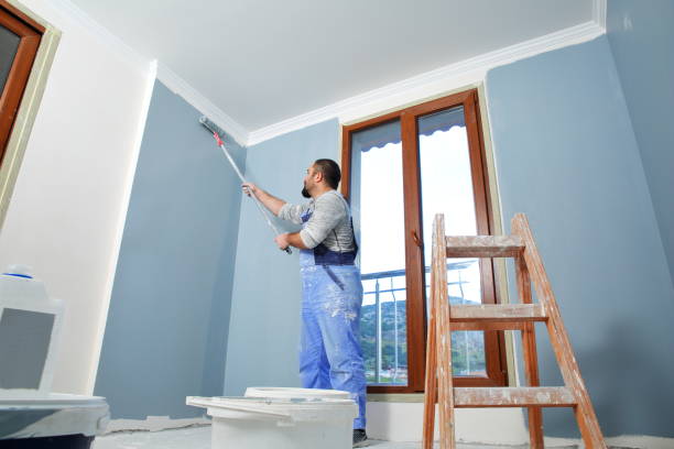 Best Mold Remediation for Healthcare Facilities  in Crystal Lake, IL