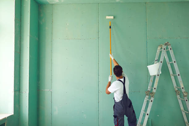 Best Mold Prevention Services  in Crystal Lake, IL