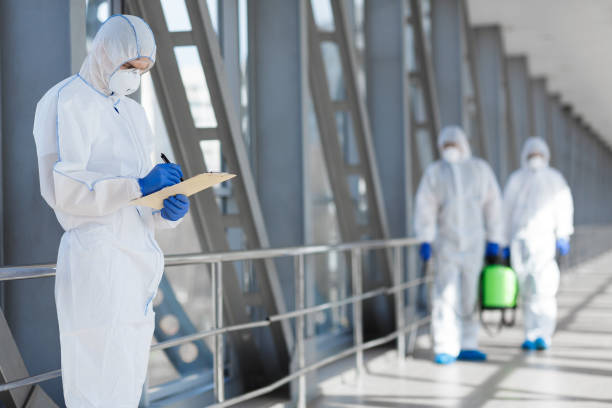 Best Mold-Related Health Consultation  in Crystal Lake, IL