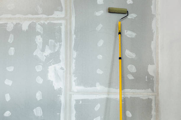 Trusted Crystal Lake, IL Mold Removal Experts