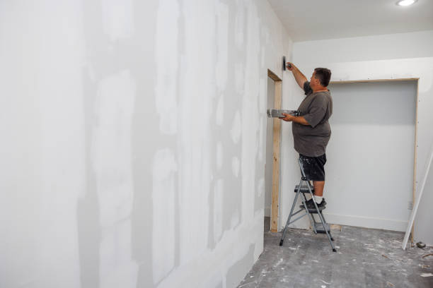 Best Comprehensive Air Testing for Mold Contaminants  in Crystal Lake, IL