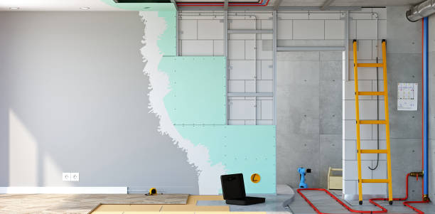 Best Biohazard Mold Removal  in Crystal Lake, IL