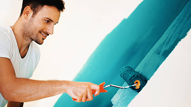 Best Mold Documentation for Insurance Claims  in Crystal Lake, IL