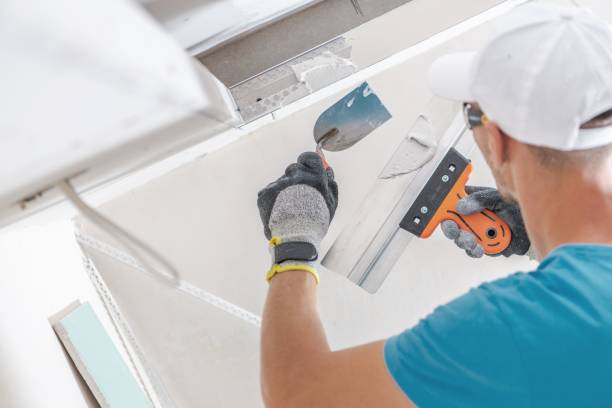 Best Basement Mold Removal  in Crystal Lake, IL